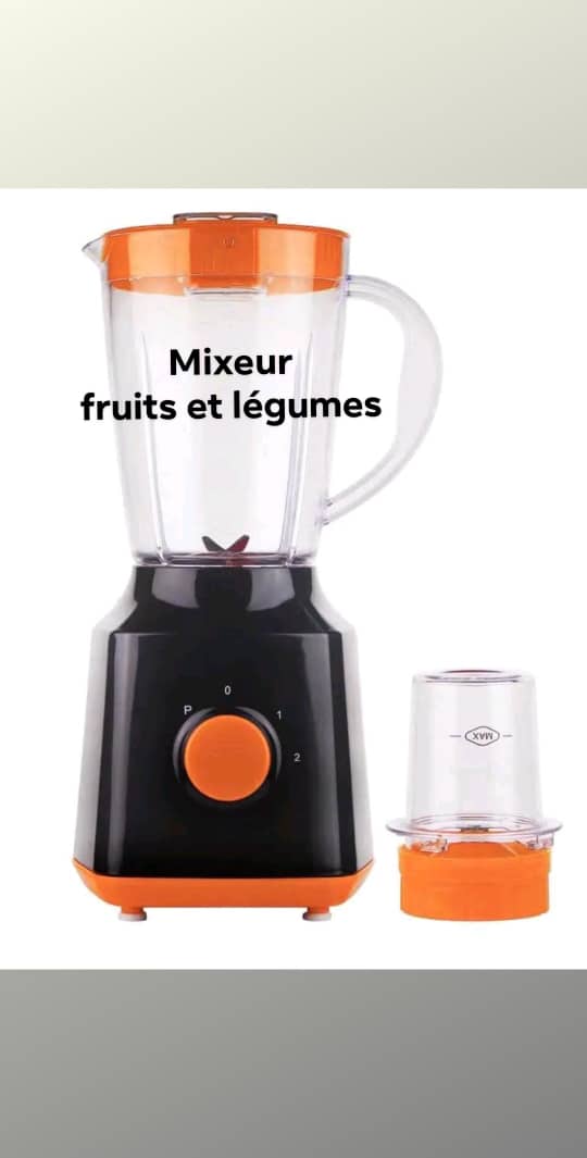 Mixeur BM351731 2en1 plastique ABD00505