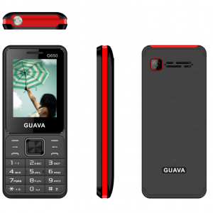 Telephone portable GUAVA G650 2 SIM BB900